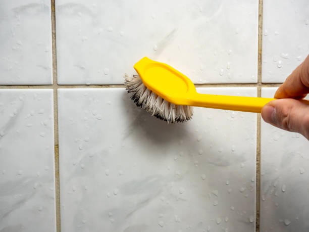 Best Mold Testing  in Stamford, TX