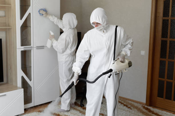 Best Attic Mold Removal  in Stamford, TX