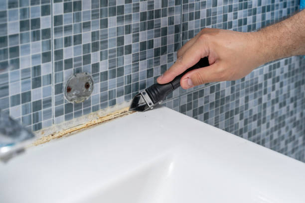 Best Best Mold Removal Companies  in Stamford, TX